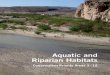 Aquatic and Riparian Habitats - Water Managementwatermanagement.ucdavis.edu/files/9113/9863/2362/Bennett_Briggs... · Conservation Assessment for the Big Bend-Río Bravo Region 19
