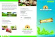 PRANAVAM - Ayurveda mayurvedam.co.in/pranavam-brochure.pdf · We provide excellent classes about the principles and treatments of Ayurveda. Those who are keenly inter-ested in studying