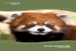 Zoo Links Curriculum Guide - Lincoln Park · PDF fileZoo Links Curriculum Guide ... , detailed lesson plans, and helpful hints to ... Lincoln Park Zoo Food Safari Café*: Tostadas,