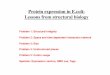 Protein expression in E.coli: Lessons from structural · PDF fileProtein expression in E.coli: Lessons from structural biology Problem 1: ... •Posttranslational modification 