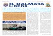 delle pubblicazioni Taxe perque Italy dei Dalmati di ... dalmata 84_mail.pdf · pochi mesi, Bruno Liessi Comunità istriane, Renzo Codarin ... ne degli esuli adriatici Guido Cace,