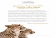 Cheetah Exam Prep for the PMP Classroom Course … Exam Prep® for the PMP® Classroom Course Syllabus PMBOK® Guide – Fifth Edition Thank you for downloading Cheetah Learning’s