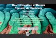 Hole’s Essentials of Human Anatomy & Physiologyhhh.gavilan.edu/jcrocker/documents/Ch15pdf.pdfAnatomy & Physiology David Shier Jackie Butler Ricki Lewis ... tonsils, which, because