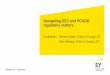 Navigating SEC and PCAOB regulatory matters - EY SEC and PCAOB regulatory matters Facilitators: ... AQIs could help audit committees in their discussions with auditors ... Affiliates