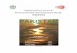 National Economic & Environmental Development … Economic & Environmental Development Study (NEEDS) PAKISTAN Lead Author: Malik Amin Aslam Khan Support Authors: Dr. Pervaiz Amir (LEAD)