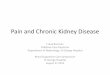 Pain and Chronic Kidney Disease - Welcome to STG · PDF file · 2015-09-28Pain and Chronic Kidney Disease Frank Brennan ... Table 2 in Davison S, Koncicki H, Brennan F. Pain in Chronic