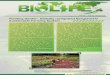 Floating Garden: Globally recognized Bangladeshi ... · PDF fileVolume 01 Issue 45 February 2016 Floating Garden: Globally recognized Bangladeshi Sustainable Farming System Today our