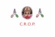 C.R.O.P.crop.hcclt.org/AssemblyFinal.pdf · Tejaswi naa vadheeta mastu Maa vidvishaavahai-i ... By Pujya Swami Tejomayananda ... Santan ki sevã, Om jai Jagdish hare