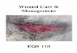 Lecture Wound Care & Mgmt. Wound Care & Management · PDF fileLecture – Wound Care & Mgmt. Return to Table of Contents Wounds 101 A wound is defined as an injury to living tissue