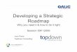Developing a Strategic Roadmap - · PDF fileDeveloping a Strategic Roadmap Why you need it & how to do it righ Session ID# 12509 Juan Porter TopDown Consulting . ... • Regular blogger,