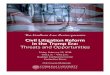 Civil Litigation Reform in the Trump Era: Threats and ... · PDF fileaction rule reform has been almost entirely driven by ... Michael Perino & Charles Silver, ... 2016/09/16/us/politics/donald-trump-economy-speech