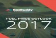 2017 Fuel Price Outlook - GasBuddyfuelinsights.gasbuddy.com/Content/docs/2017fueloutlook.pdf · Peak Daily Average Gas Price Select Cities Prices represent peak average daily gas