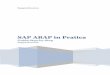 SAP ABAP in Pratica - SapProfessionsapprofession.com/wp-content/uploads/2017/11/SAP-ABAP-in-Pratica... · Capitolo 15: BADI ... SAP ABAP in Pratica ... programmazione per applicazioni