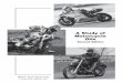 G2156 - A Study of Motorcycle Oils - Synthetic · PDF filethe most comprehensive study of motorcycle oils ever published.The document served to educate hundreds of thousands of 