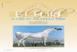 A GREAT ARABIAN SIRE - Tutto Arabi hilal.pdf · El Hilal, a great Arabian sire in his prime, 1966 grey stallion (Ansata Ibn Halima x Bint Neﬁ saa). Jeff Little photo 322 TUTTO