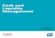 Cash and Liquidity Management - About American Expressabout.americanexpress.com/news/docs/2012x/Amex-Cash-and-Liquidi… · Cash and Liquidity Management A report by CFO Research