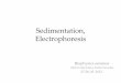 Sedimentation, Electrophoresis - biofizika2.aok.pte.hubiofizika2.aok.pte.hu/tantargyak/files/seminar2/2011-2012/seminar2... · The radius of the rotor ... Stacking gel, pH = 6,8 neutral