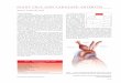 GIANT CELL AND TAKAYASU ARTERITIS - · PDF filegiant cell and takayasu arteritis — 3 Giant Cell Arteritis/ Temporal Arteritis GCA, otherwise re- ... temporalis.5 The patient with