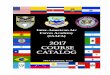 Course Catalog - 37th Training Wing English...1 GENERAL INFORMATION IAAFA History The Inter-American Air Forces Academy (IAAFA) was founded on 15 March 1943, at the request of Peru's