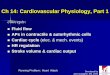 Ch 14: Cardiovascular Physiologylpc1.clpccd.cc.ca.us/lpc/jgallagher/Physio/Chapter 14 Heart, Part 1... · Ch 14: Cardiovascular Physiology, Part 1 ... Cardiac Muscle Cells