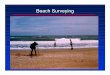 Economical! - · PDF file– $40k hardware –$10k/flight Siletz Spit, OR Courtesy Tom Lippmann, OSU. ... – CETN II-31, Nov 1993 Guidelines for Surveying Beach Nourishment Projects