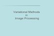 Variational Methods in Image Processing - avcr.czzoi.utia.cas.cz/files/lecture_intro_0.pdfin image processing –G. Aubert and P. ... • Practical Optimization: Algorithms and Engineering