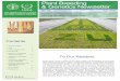 Plant Breeding & Genetics Newsletter - IAEA · PDF filePlant Breeding & Genetics Newsletter, ... Development of gene expression resources based on ... Nigeria and the Philippines