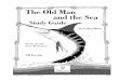 The Old Man and the Sea - Home - Rainbow Resource … Old Man and the Sea Study Guide by Calvin Roso For the novel by Ernest Hemingway CD Version Grades 9–12 Reproducible Pages #417
