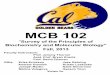 MCB 102 - Department of Molecular & Cell Biology |mcb.berkeley.edu/courses/syllabi/mcb102_fall2013.pdfMCB 102 "Survey of the Principles of Biochemistry and Molecular Biology" Fall,