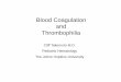 Blood Coagulation Thrombophilia - Johns Hopkins Hospital course... · Blood Coagulation and Thrombophilia ... Know the functions and mechanism of activation of factor___ in coagulation