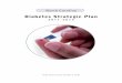 Diabetes Strategic Plan - Diabetes North Carolina North Carolina Diabetes Strategic Plan identifies ... framework underscores the importance of interventions at multiple ... For comprehensive
