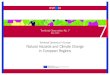 Territorial Dynamics in Europe Natural Hazards and · PDF fileTerritorial Dynamics in Europe Natural Hazards and Climate ... Hazards and Climate Change in European Regions” ... short
