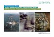 Protocol for Archaeological Discoveries: Offshore ... · PDF fileProtocol for Archaeological Discoveries: Offshore Renewables Projects. ... Archaeological Discoveries: Offshore Renewables