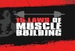 15 Laws of Body Buildingee85b4e9c8274229d1db-d698ea1d341813d2bc4f2fa2558558d8.r72.cf2.rackcdn.com/...15 Laws of Body Building 2" Hey man, Welcome to The 15 Universal Laws Of Muscle