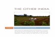 THE OTHER INDIA · PDF file · 2013-09-05students had the opportunity to closely observe the socio-economic conditions in the village and understand the problems that exist in the