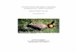 ATTWATERâ€™S PRAIRIE-CHICKEN Tympanuchus cupido ??S PRAIRIE-CHICKEN (Tympanuchus cupido attwateri) RECOVERY PLAN ... Dr. Jeff Johnson provided feedback and ... When number of