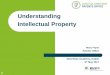 Understanding Intellectual Property - Patents Office · PDF file · 2017-05-15Understanding Intellectual Property Mary Flynn Patents Office ... PUNCH COLGATE-PALMOLIVE 3: Soaps; 