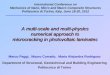 International Conference on Mechanics of Nano, Micro and ...musam.imtlucca.it/FIRB_varie/composites.pdf · Mechanics of Nano, Micro and Macro Composite Structures Politecnico di Torino,