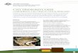 Chytridiomycosis (amphibian chytrid fungus disease) nature of these amphibian populations. ... Chytridiomycosis (amphibian chytrid fungus disease) Author: Department of Sustainability,