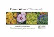 Proven Winners booklet · PDF fileFind more ideas on   Get This Look 3. DECADENCE