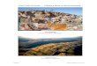 First Fossil Animals — Ediacara Biota of South Australia · PDF fileGehling 1 Flinders Ranges Treasures First Fossil Animals — Ediacara Biota of South Australia Jim Gehling South