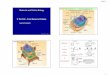 Animal Cell ((eukaryotic cell) -----> compare with …itbe.hanyang.ac.kr/wp-content/uploads/2017/08/BIO3035-kh...9/2/17 8 A summary of transcription and translation in a eukaryotic