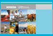 LA PROBLEMÁTICA DEL ACCESO Y - · PDF filela problemÁtica del acceso y tenencia de la tierra en la agricultura familiar (af): la experiencia de trabajo de la subsecretaria de agricultura