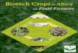 Biotech Crops in - International Service for the … crops in the continent namely Bt cotton, Bt maize and HT soybean. The overall goal is to facilitate a more ... Picture 8: Dr. Charles
