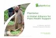 Plantwise: A Global Alliance for Plant Health Support ·  · 2013-04-012013-04-01 · A Global Alliance for Plant Health Support Plantwise: ... Lessons learnt Poor knowledge on plant