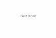 Plant Stems - Botany - Homechalmersbotany.weebly.com/uploads/5/5/7/1/5571931/st… ·  · 2014-02-13Stems External Anatomy Leaf Buds are the flattish triangle buds that grow along