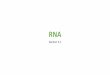 RNAbfhscollings.weebly.com/.../chapter_13_notes_-_rna.pdfThe genetic code •Step one - copy DNA to produce RNA •RNA contains instructions on how to make proteins •Proteins are