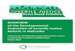 OVERVIEW of the Developmental Evaluation of Juvenile ... · x OVERVIEW of the Developmental Evaluation of Juvenile Justice Reform in Nebraska Prepared for the Nebraska Court Improvement