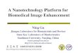 A Nanotechnology Platform for Biomedical Image …mams.rmit.edu.au/6c6adu7fgb8k.pdfA Nanotechnology Platform for Biomedical Image Enhancement Ning Gu Jiangsu Laboratory for Biomaterials
