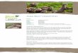 Asian Short-Clawed Otter - Amazon Web Services · Asian Short-Clawed Otter Facts ... birds and small mammals. ... The autumn rut is an impressive wildlife spectacle when the males